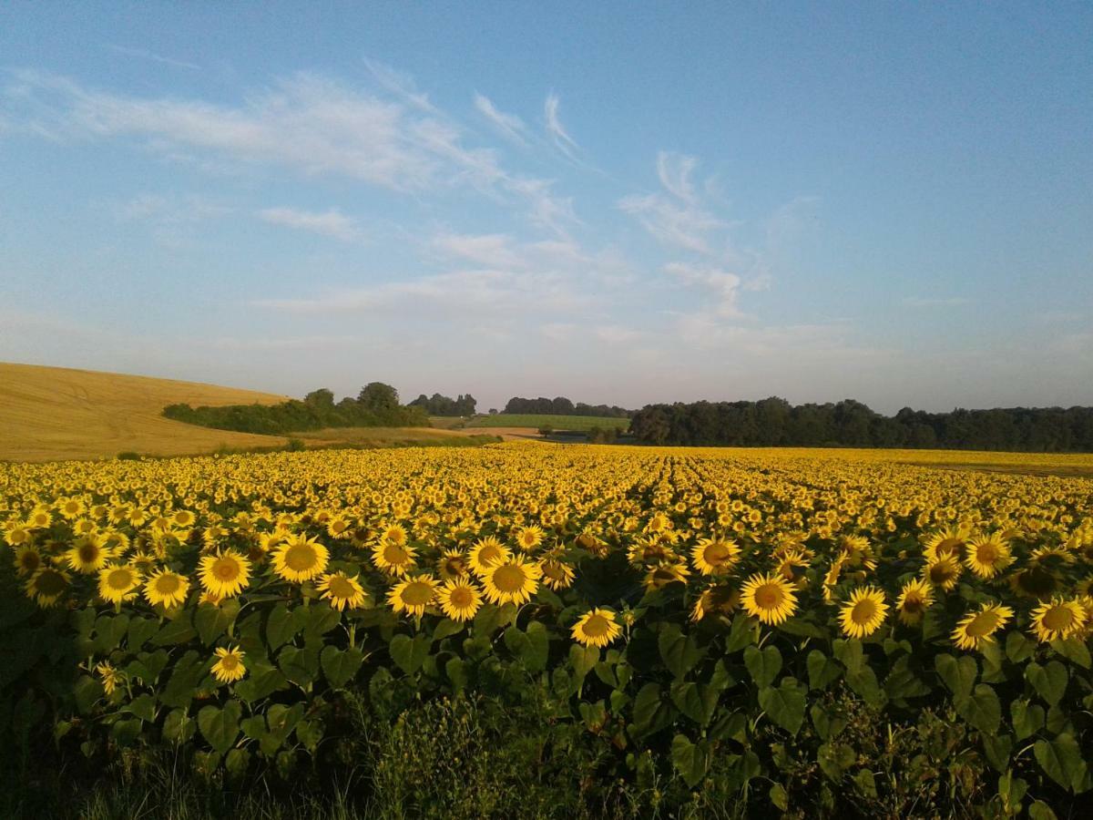 Fleur Du Soleil Villa Agudelle Exteriör bild
